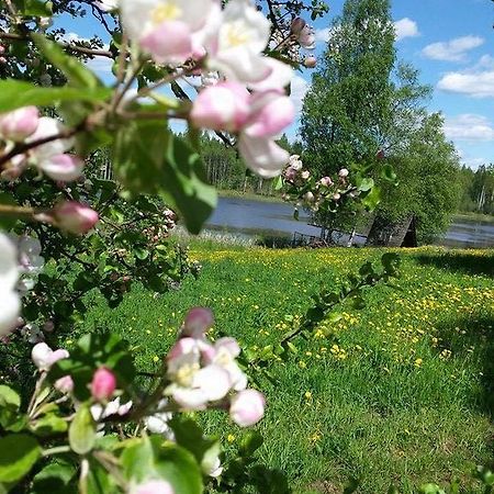 Ligatnes Zemturi Villa Augsligatne Екстериор снимка